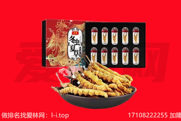 湖州市长兴回收虫草.jpg